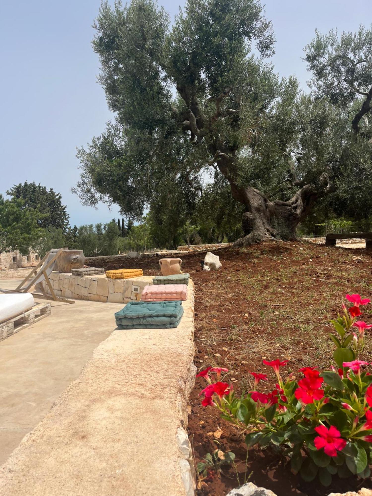 Villa Dominique Relax A Pochi Kilometri Dal Mare Carovigno Exterior foto